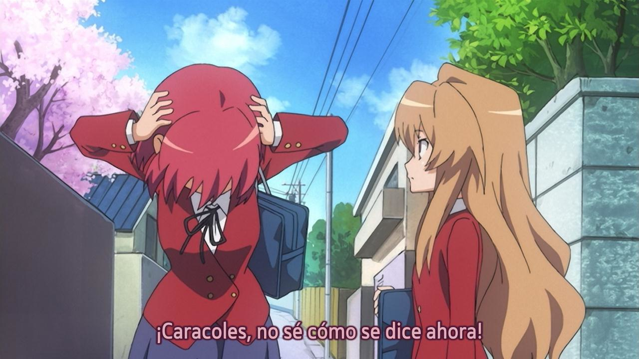 Toradora! (Backbeard)